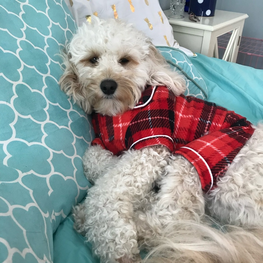 Plaid Dog Fleece Pajamas - Small - Red + Black